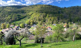 Maison 7 Pièces 126 m² à vendre à Lautenbach (68610)