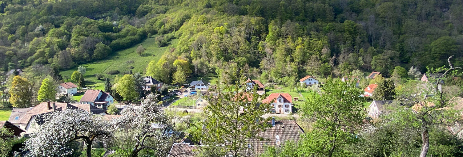 Maison 7 Pièces 126 m² à vendre à Lautenbach (68610)