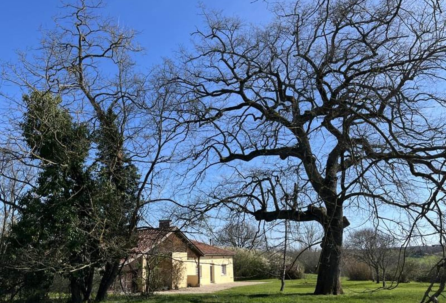 Corps de Ferme de 5 pièces principales — photo 1