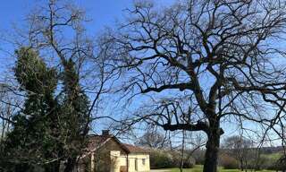 Maison 5 Pièces 140 m² à vendre à Le Fousseret (31430)