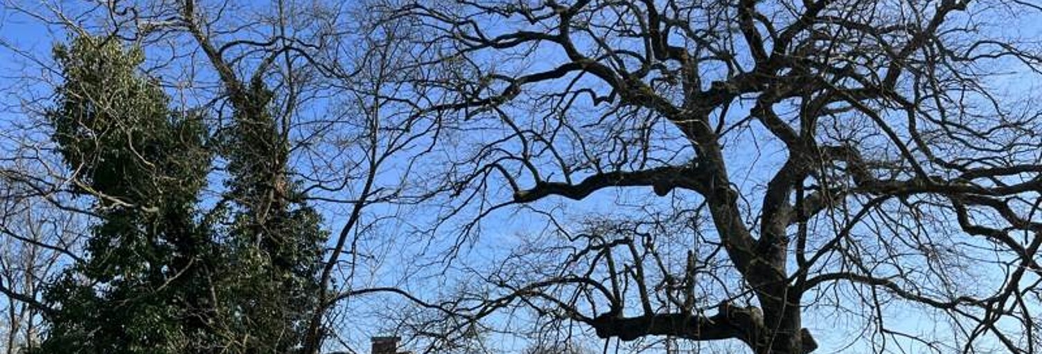 Maison 5 Pièces 140 m² à vendre à Le Fousseret (31430)