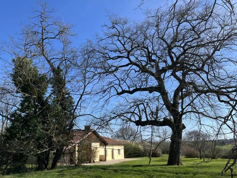 Corps de Ferme de 5 pièces principales — photo 1