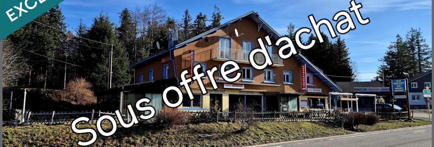 Commerce 18 Pièces 633 m² à vendre à Plainfaing (88230)