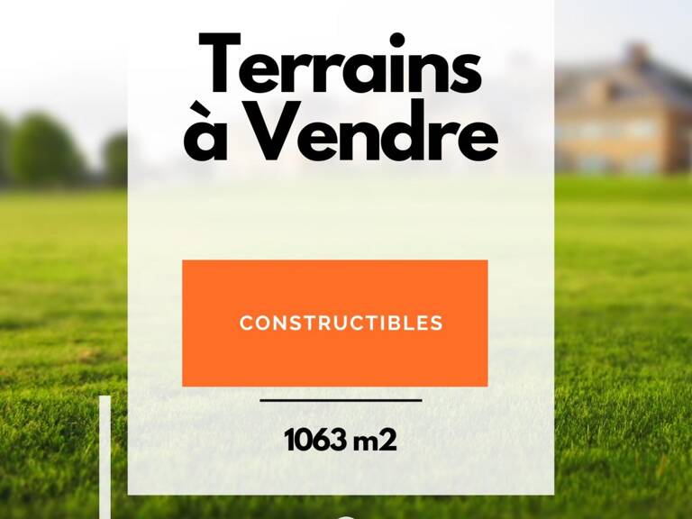 Terrain — photo 1