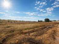 Terrain à construire  14645 m²  — photo 2