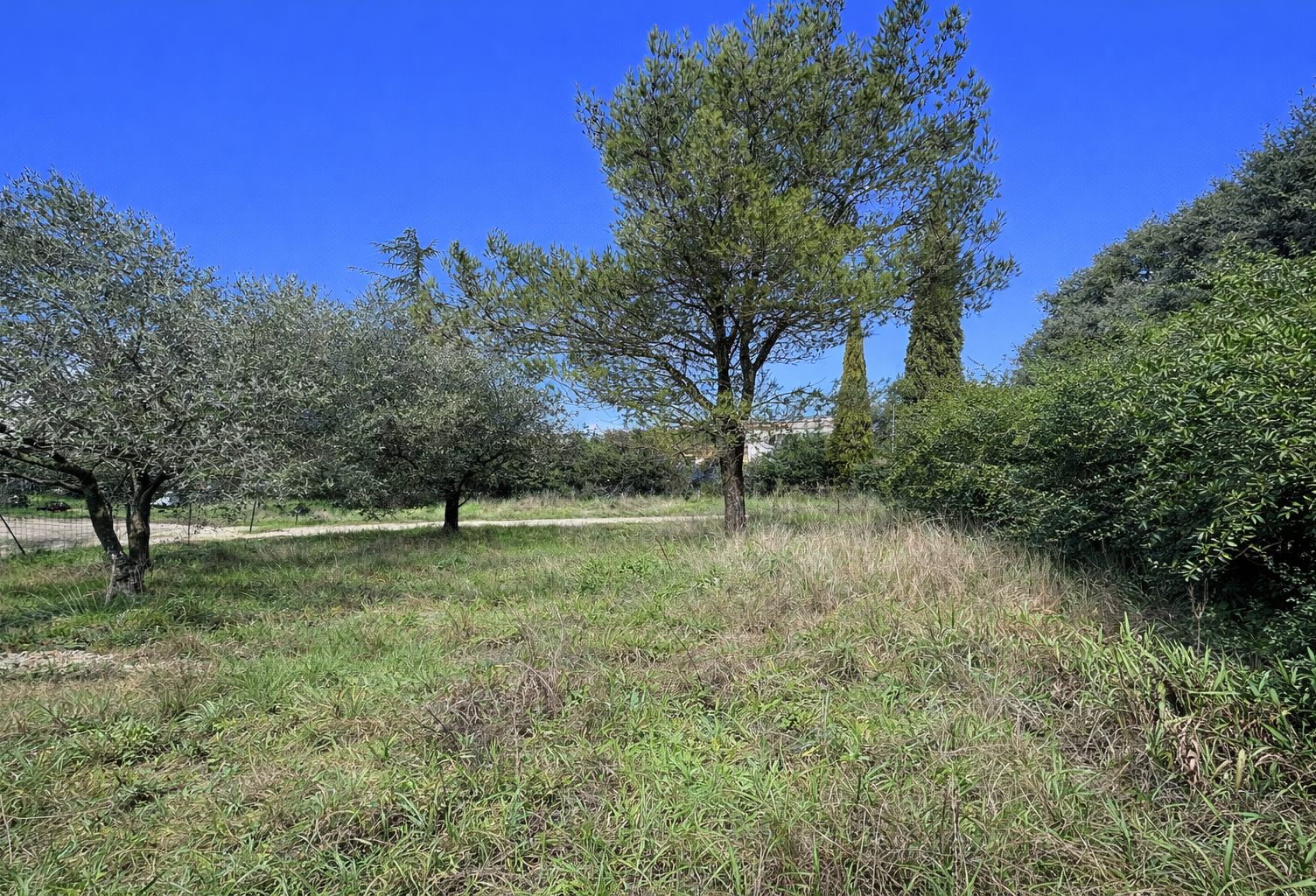 VENTE TERRAIN A BATIR 640M2 — photo 1