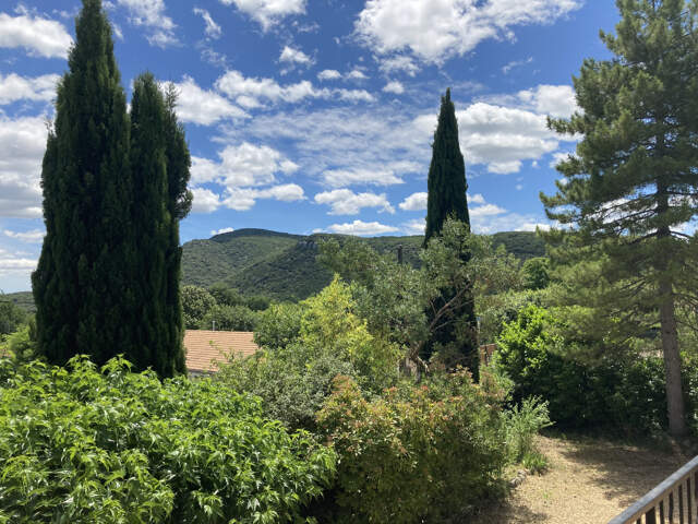 BELLE VILLA RÉNOVÉE ET SON JARDIN ARBORE A SAUVE — photo du bien