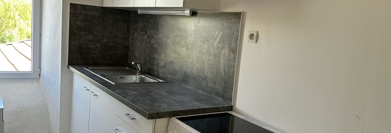 Appartement 1 Pièce 24 m² à louer à Costaros (43490)