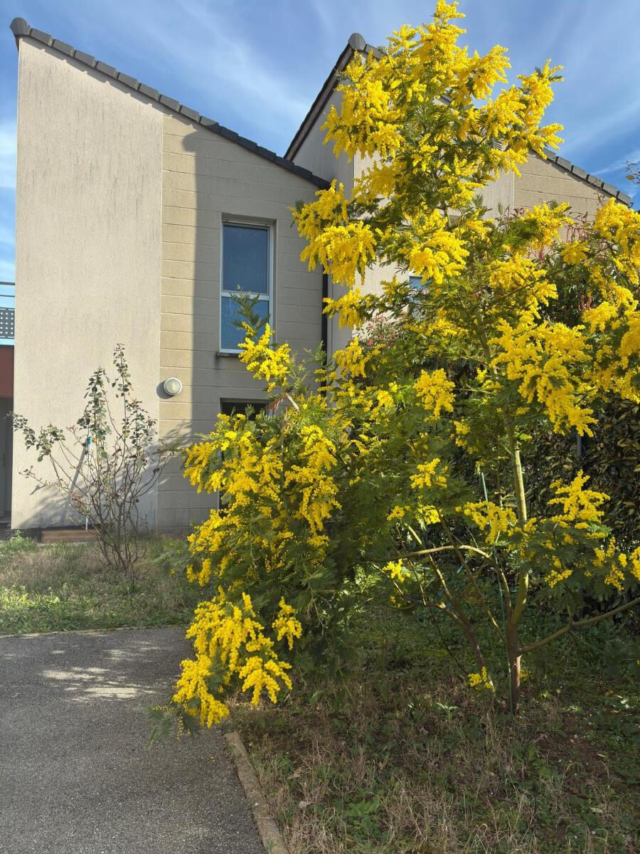 Villa / Maison  T4 à louer Valence 26000