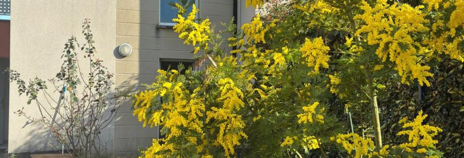 Maison 4 Pièces 88 m² à louer à Valence (26000)