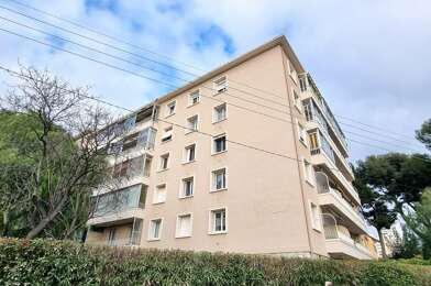 Appartement 3 pièces 800 €