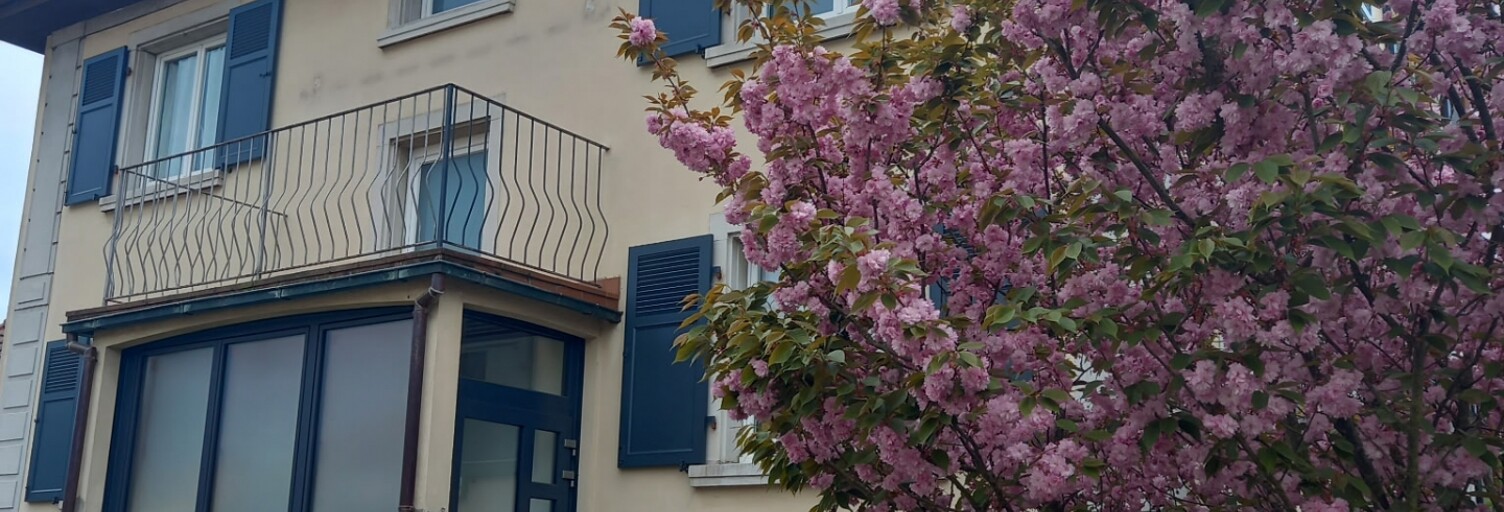 Maison 7 Pièces 170 m² à vendre à Reiningue (68950)