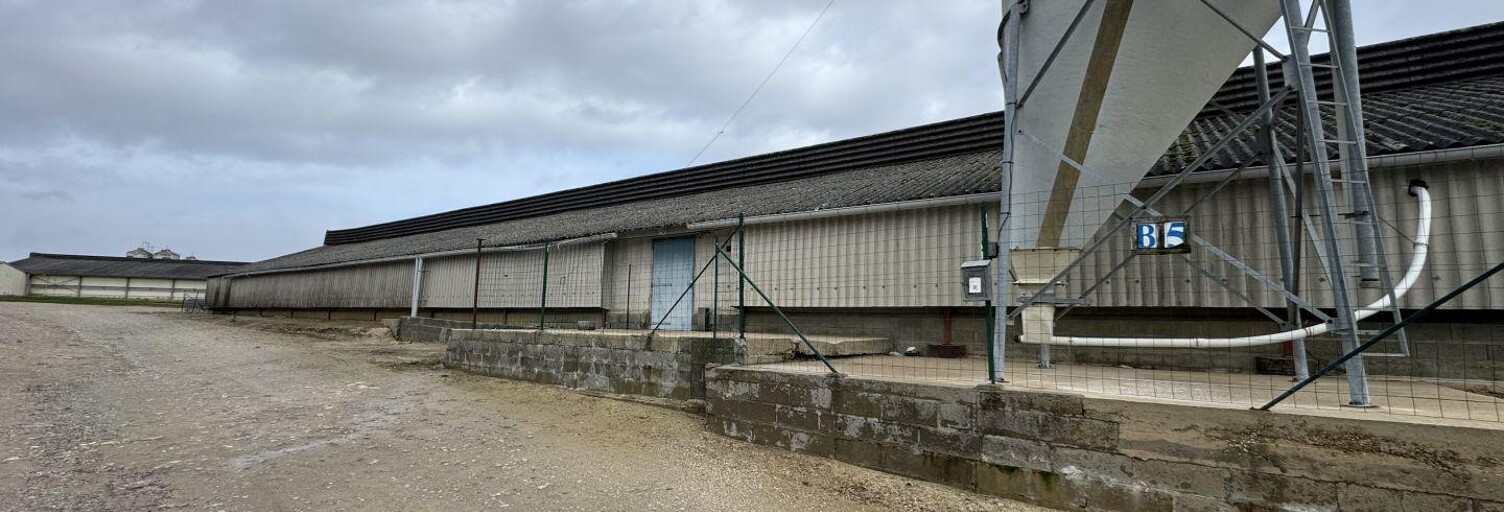 Commerce  2250 m² à vendre à Dangé-Saint-Romain (86220)