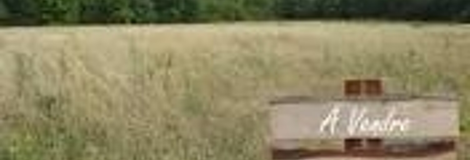 Terrain  1114 m² à vendre à Montendre (17130)