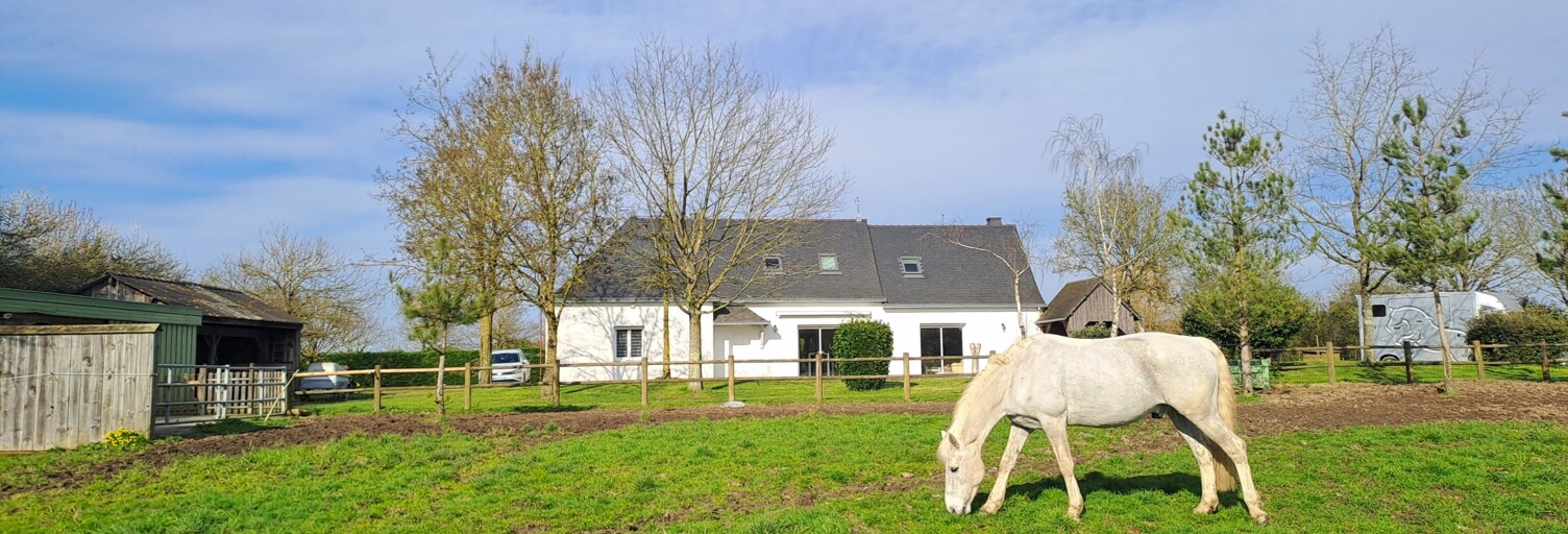 Maison 6 Pièces 175 m² à vendre à Loireauxence (44370)