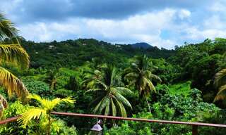 Maison 6 Pièces 200 m² à vendre à Rivière-Pilote (97211)