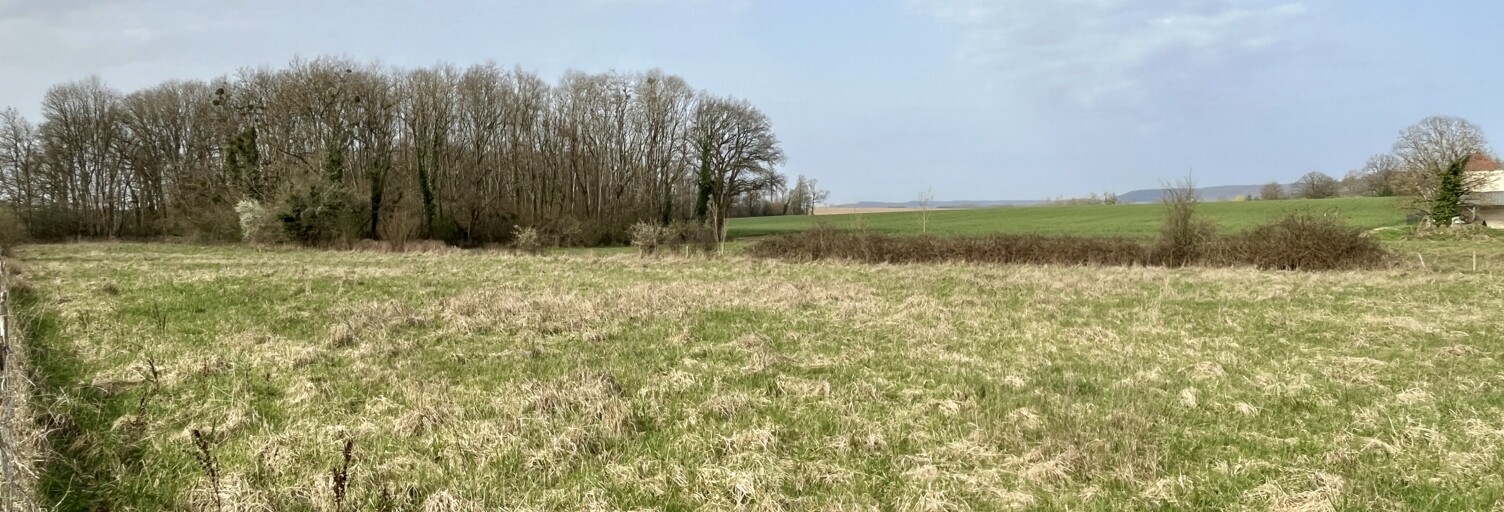 Terrain  5140 m² à vendre à Montfey (10130)