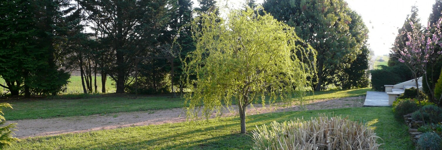Photo N° 2