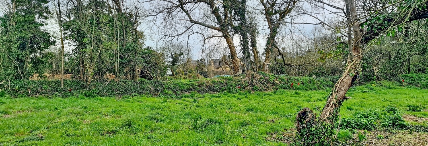 Terrain  301 m² à vendre à Plougonvelin (29217)