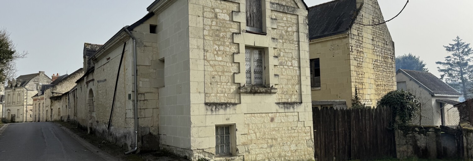 Maison 13 Pièces 260 m² à vendre à Lerné (37500)