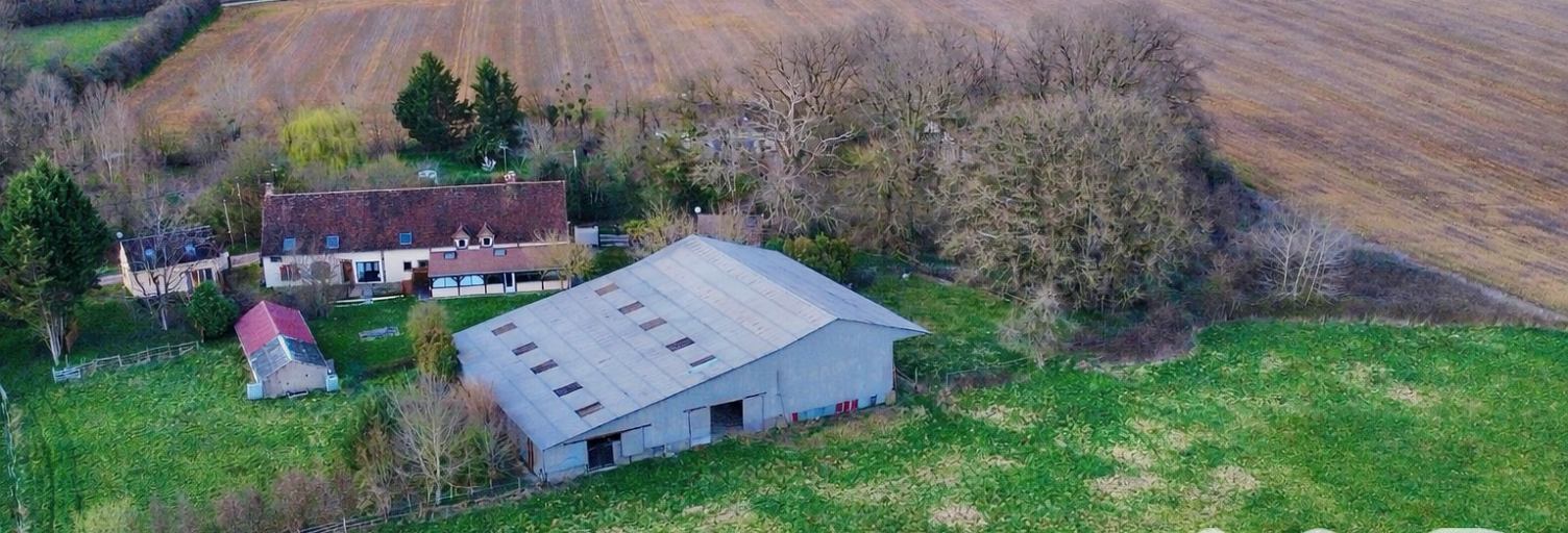 Maison 14 Pièces 370 m² à vendre à Sommecaise (89110)