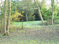 Terrain constructible viabilisé 1800 m²  Villiers-sur-Morin — photo 3