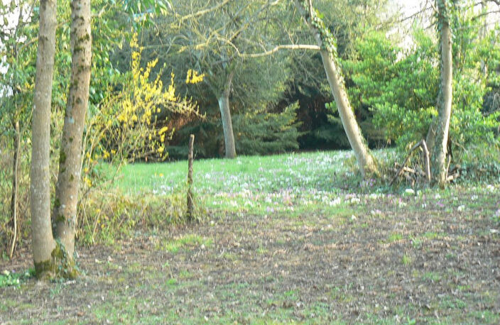Terrain constructible viabilisé 1800 m²  Villiers-sur-Morin — photo 3