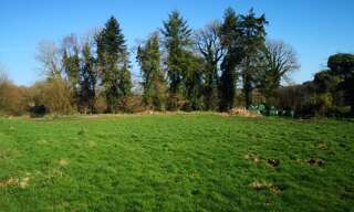 Maison 5 Pièces 107 m² à vendre à Callac (22160)