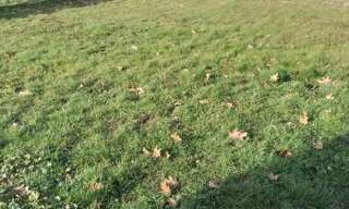 Maison 3 Pièces 80 m² à louer à Bernos-Beaulac (33430)