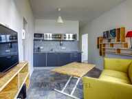 NICE COULEE VERTE SUPERBE 3 PIECES RENOVE — photo 3