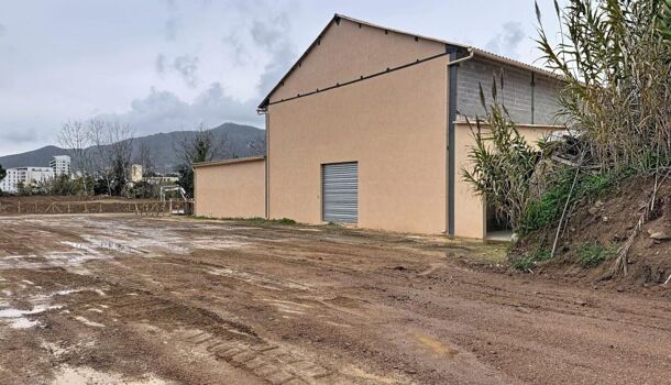 Local d'activit&eacute;s  à louer Ajaccio 20000