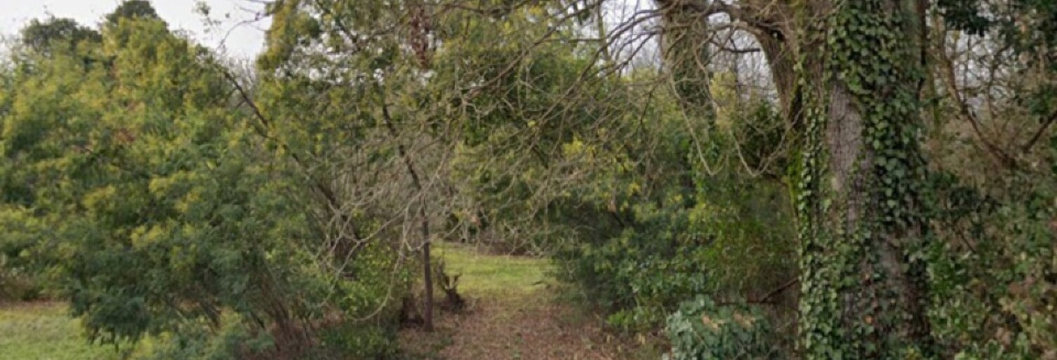 Terrain  1194 m² à vendre à La Brède (33650)