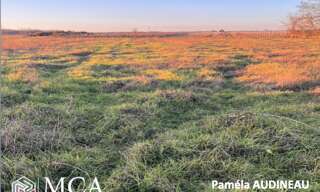 Terrain  1550 m² à vendre à Cérons (33720)