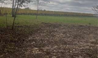 Terrain  5000 m² à vendre à Langoiran (33550)