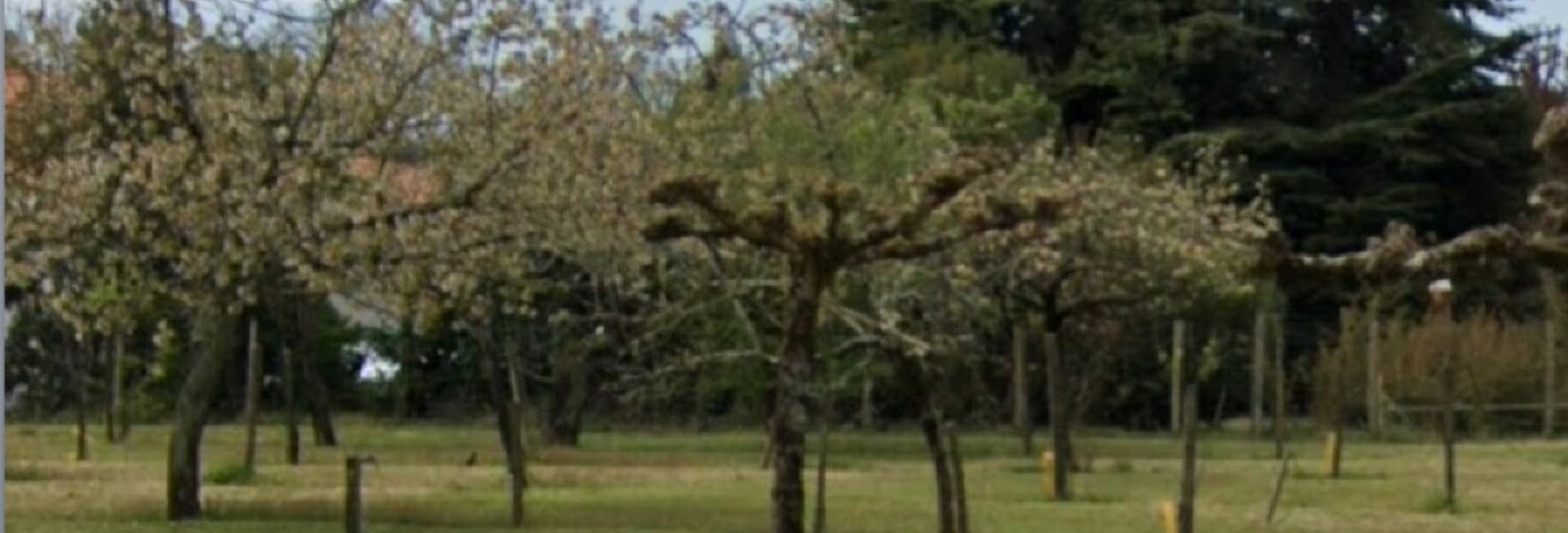 Terrain  535 m² à vendre à Beautiran (33640)