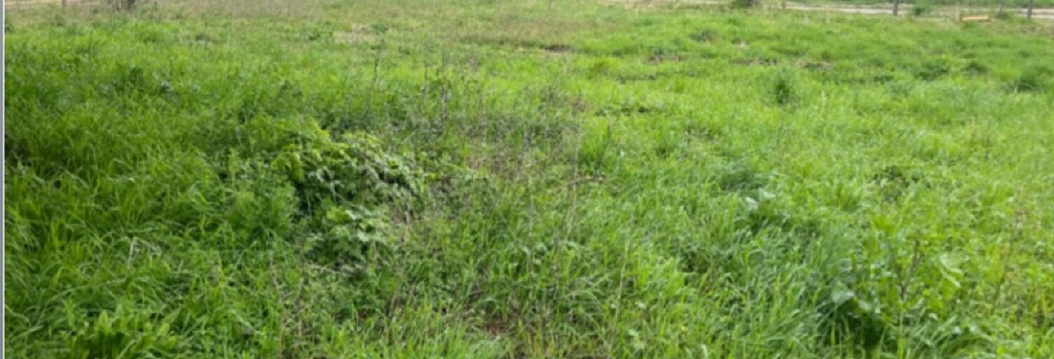 Terrain  1044 m² à vendre à Ayguemorte-les-Graves (33640)