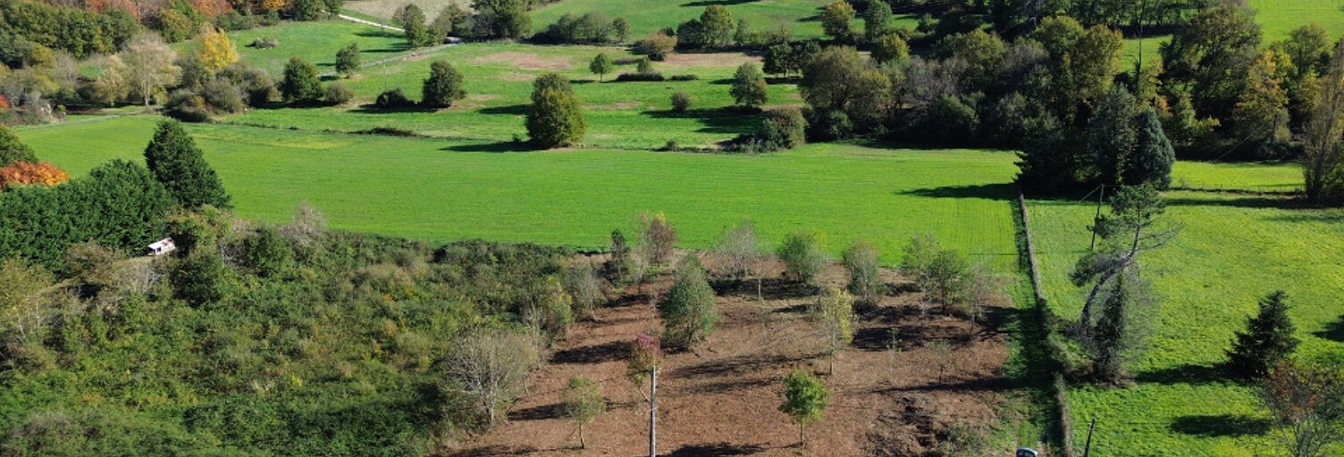 Terrain  2500 m² à vendre à Saint-Aulaye-Puymangou (24410)