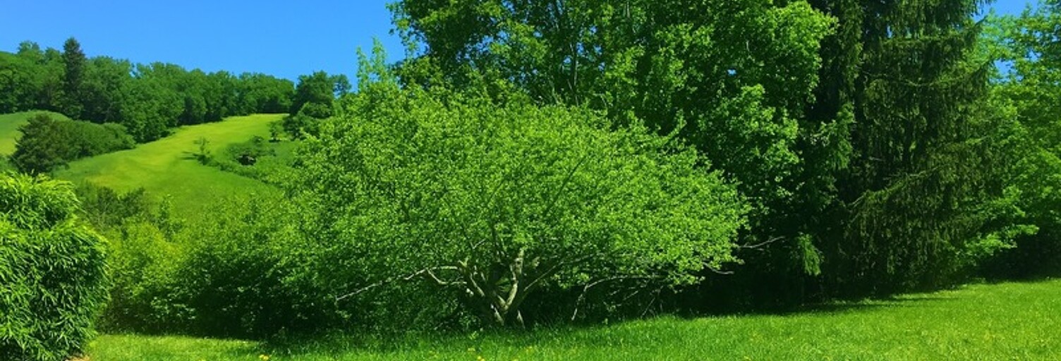 Terrain  1816 m² à vendre à Cos (09000)