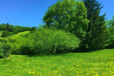 Terrain  55000 €