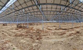 Terrain  120000 m² à vendre à Fronton (31620)