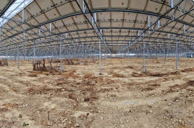 Terrain  317000 €