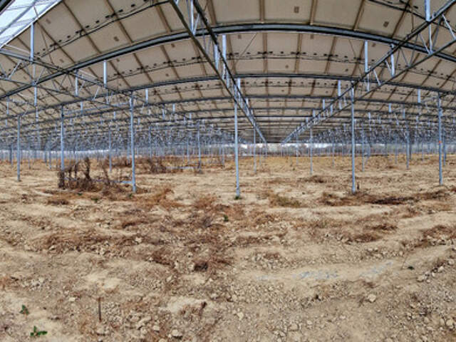Terrain agricole douze hectares, vergers, hangar bio-climatique fermé, hangar ouvert, serres, rucher, lac artificiel — photo du bien