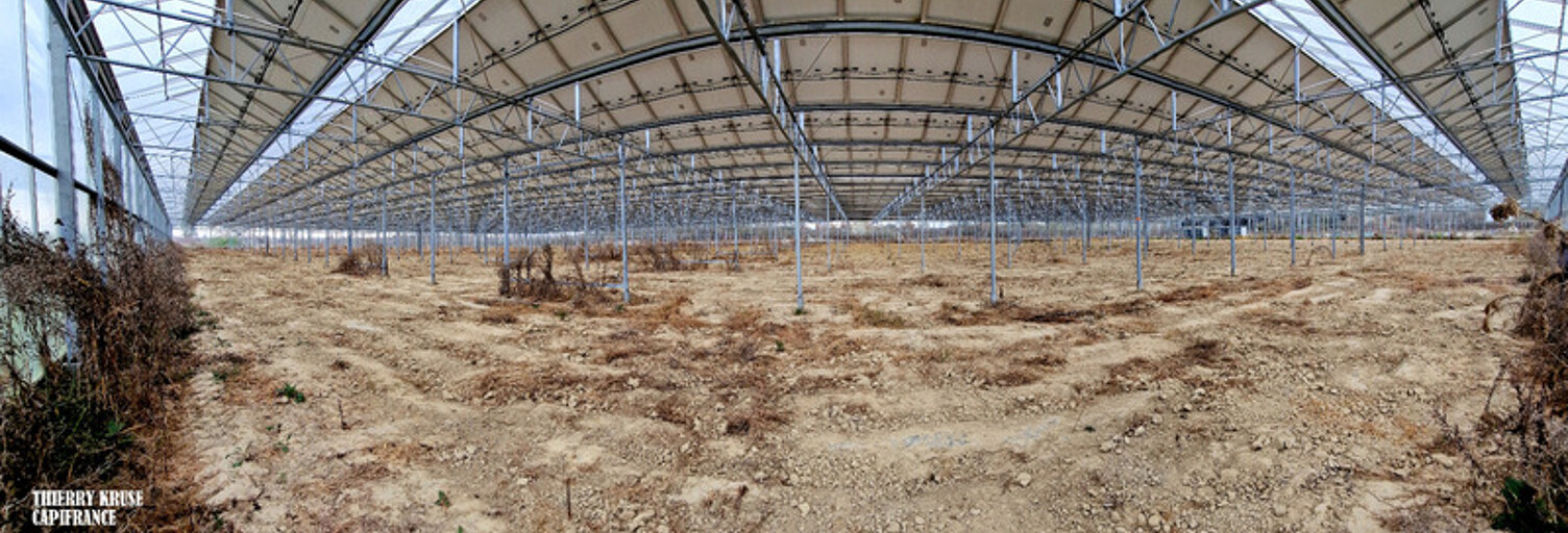 Terrain  120000 m² à vendre à Fronton (31620)