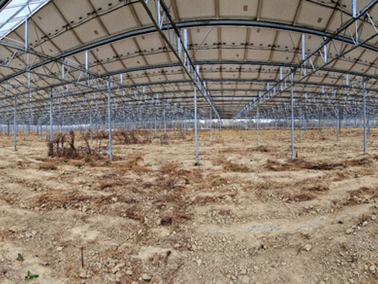 Terrain agricole douze hectares, vergers, hangar bio-climatique fermé, hangar ouvert, serres, rucher, lac artificiel — photo 1