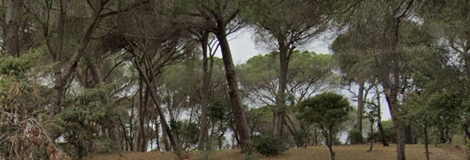 Terrain 503 m² à construire Fréjus (83600)