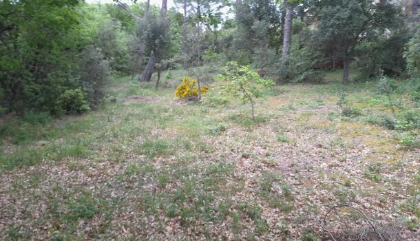 Terrain  à vendre Roque-d'Anthéron (La) 13640