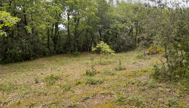 Terrain  à vendre Roque-d'Anthéron (La) 13640