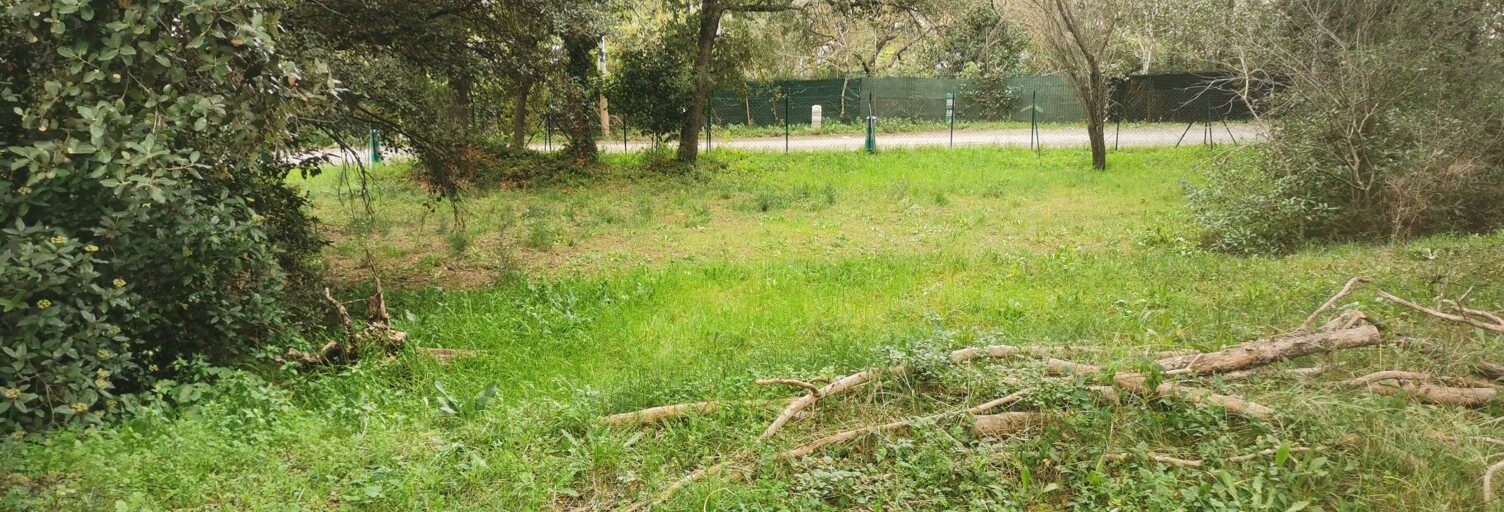 Maison 95 m² à construire Aubagne (13400)