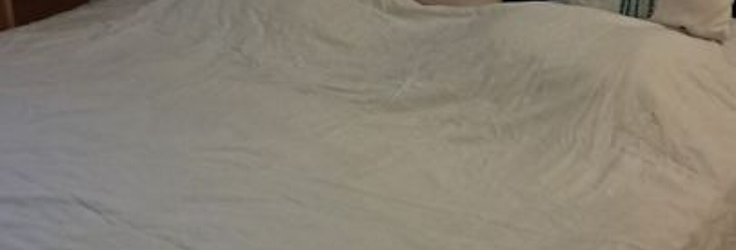 Appartement 1 Pièce 10 m² à louer à Ramonville-Saint-Agne (31520)