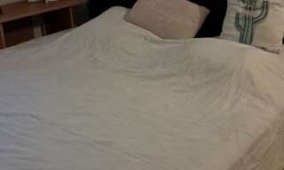 Appartement 1 Pièce 10 m² à louer à Ramonville-Saint-Agne (31520)